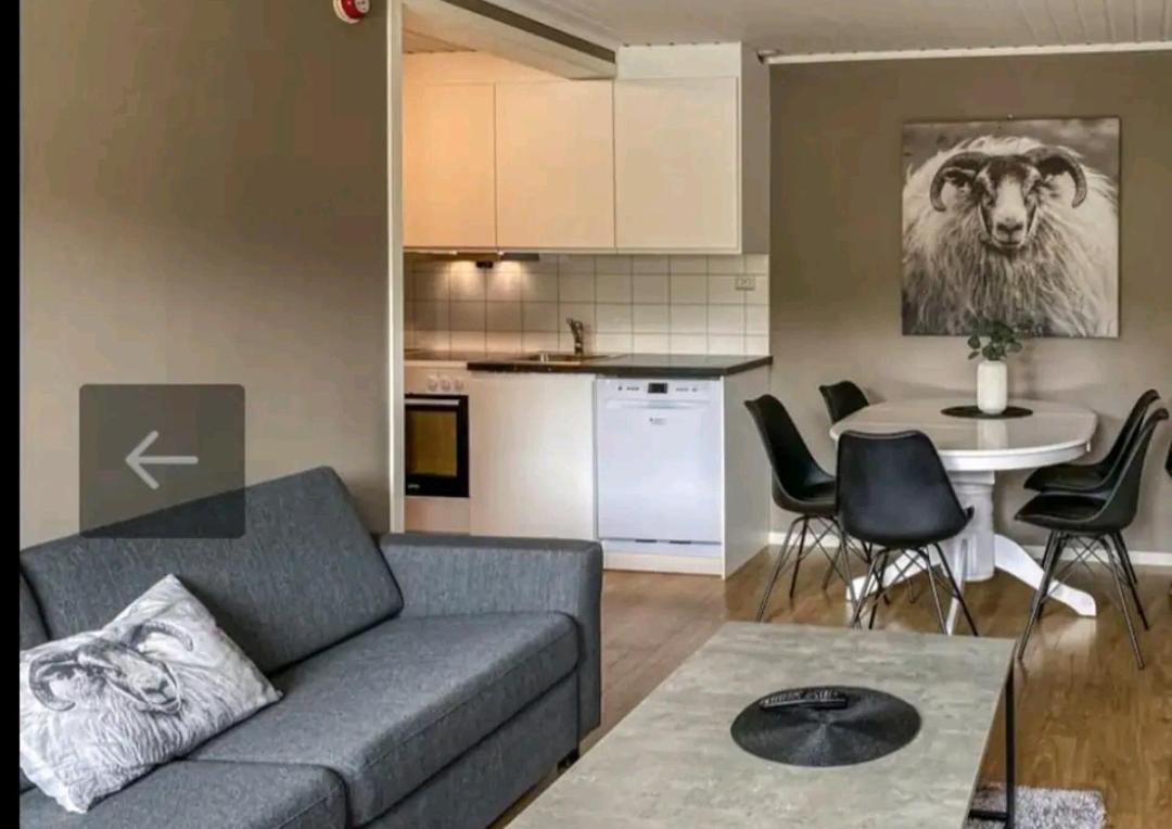Bovervegen 19 Appartment Nr 9 Bjorli 外观 照片